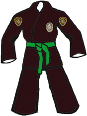 7th Kyu - Green Belt - Recruit Level 3