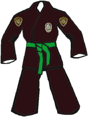 8th Kyu - Green Belt - Recruit Level 2