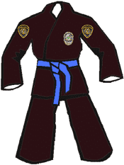 9th Kyu - Blue Belt - Recruit Level 1