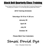 Black Belt Quarterly Class Training